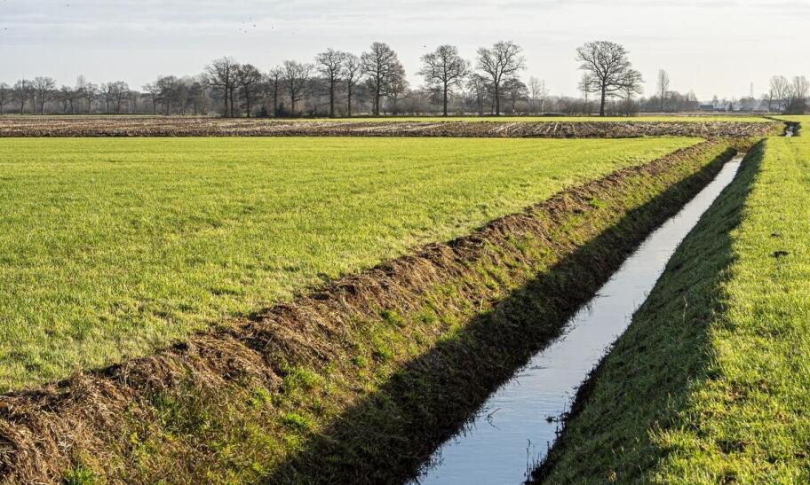 Jakie są główne zalety stosowania naturalnych metod odwodnienia terenu?