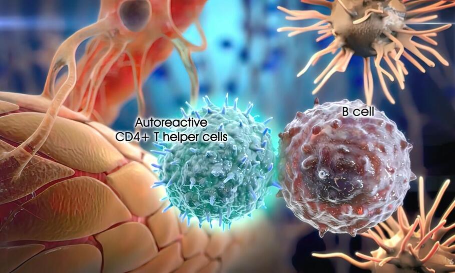 Proces regeneracji elektrowrzecion: kluczowe etapy i ich znaczenie