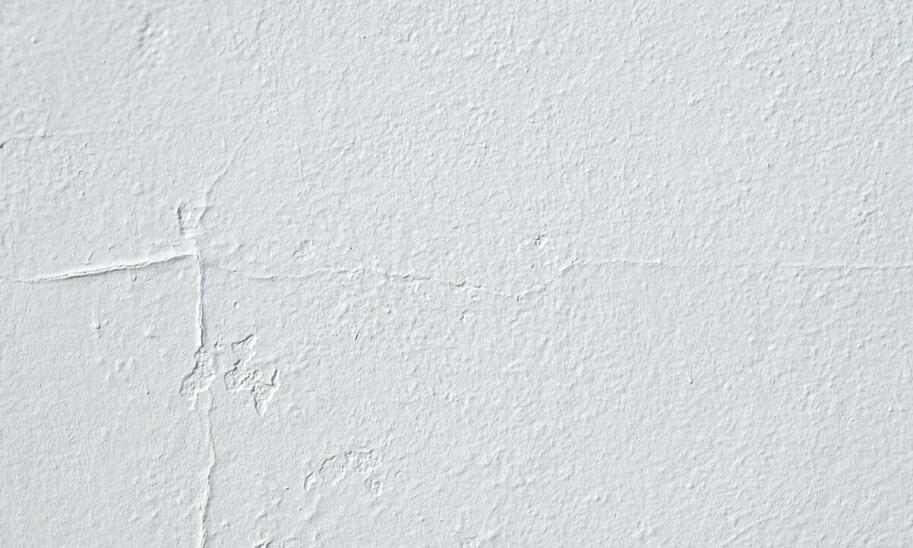 Gipsowe tynki jako bariera przeciwko pleśni i grzybom