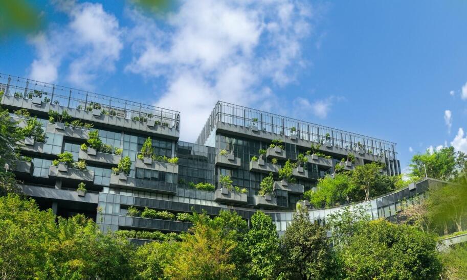 Wpływ lokalnego klimatu na wybór gatunków krzewów do miejskich nasadzeń