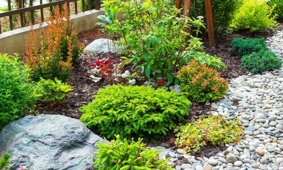 Hurtownia kwiatów – jak wybrać rośliny do skalniaka?