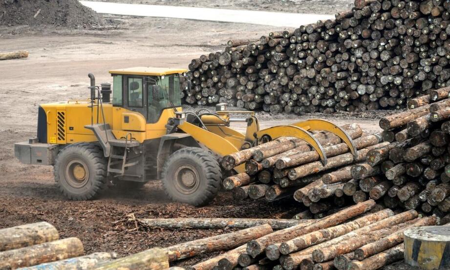 Ekonomiczne korzyści z skupu trocin dla transportowych przedsiębiorstw