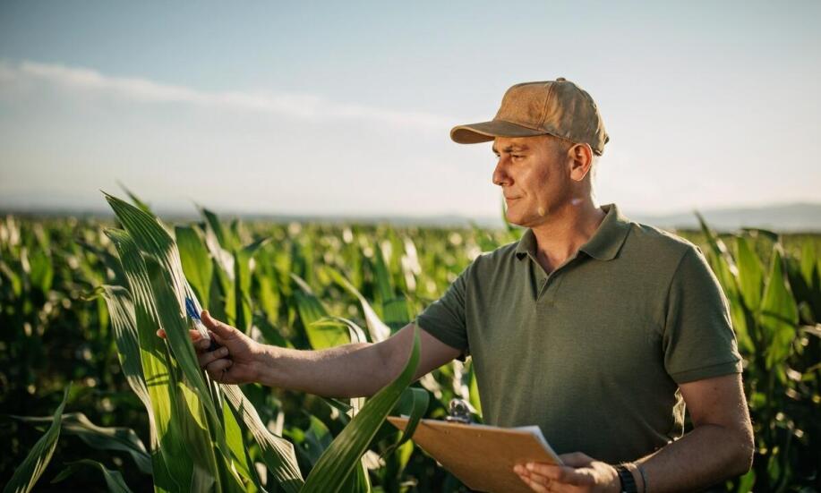Profesjonalne doradztwo w zakresie roślinnego nawożenia