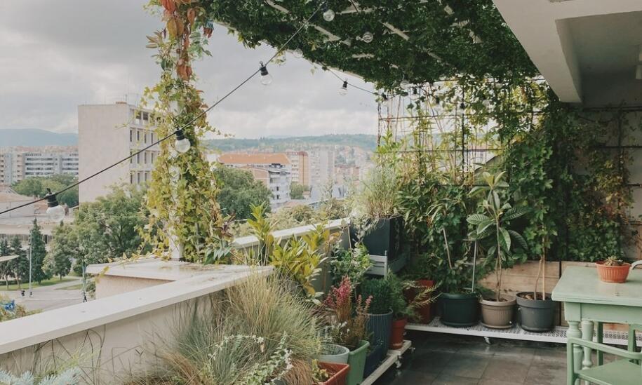 Inspiracje na aranżację balkonu z ozdobnymi roślinami w nowoczesnym stylu