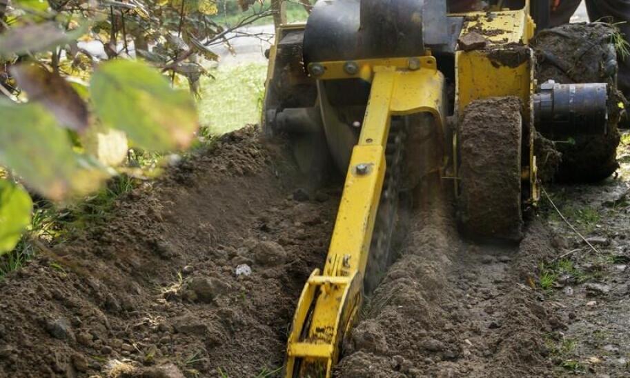 Frezowanie pni drzew jako część zrównoważonego zarządzania miejską zielenią
