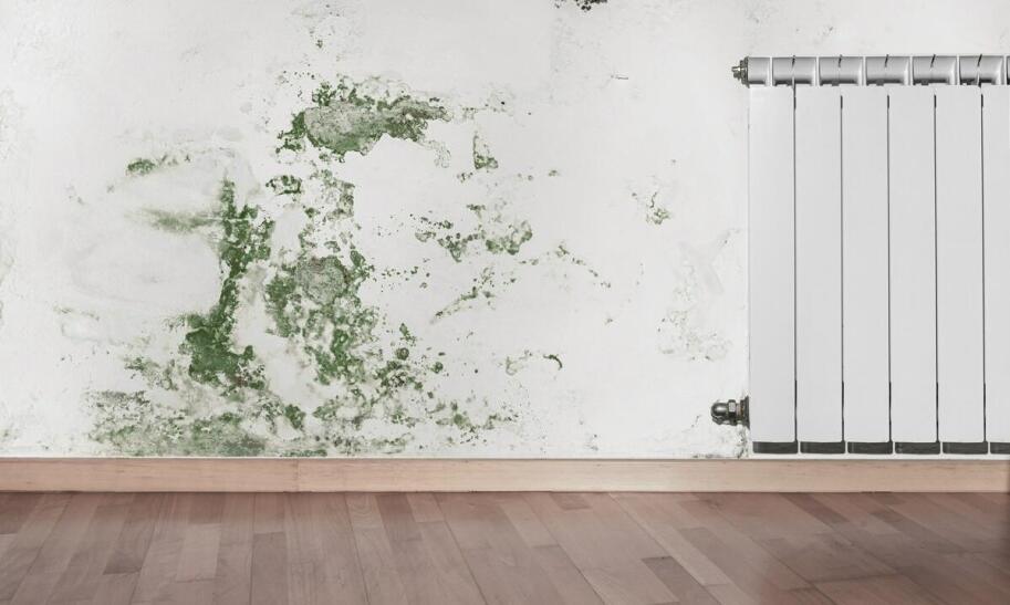 Jak osuszyć zalaną ścianę domowym sposobem