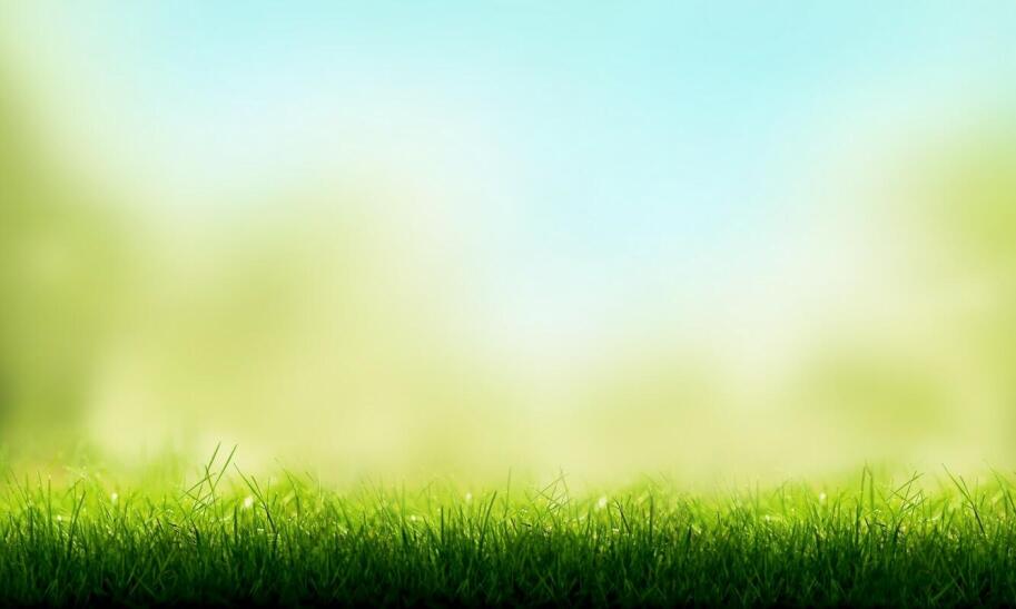 Kiedy nawozić młody trawnik po założeniu?