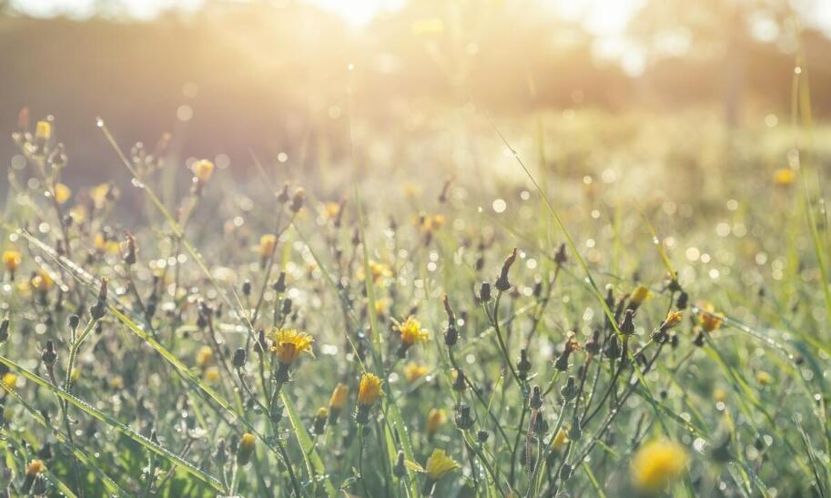 Jak robić dobre zdjęcia?