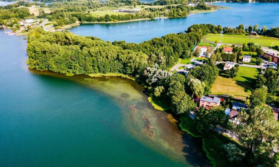 Jaka norma Euro obowiązuje w strefie czystego transportu?