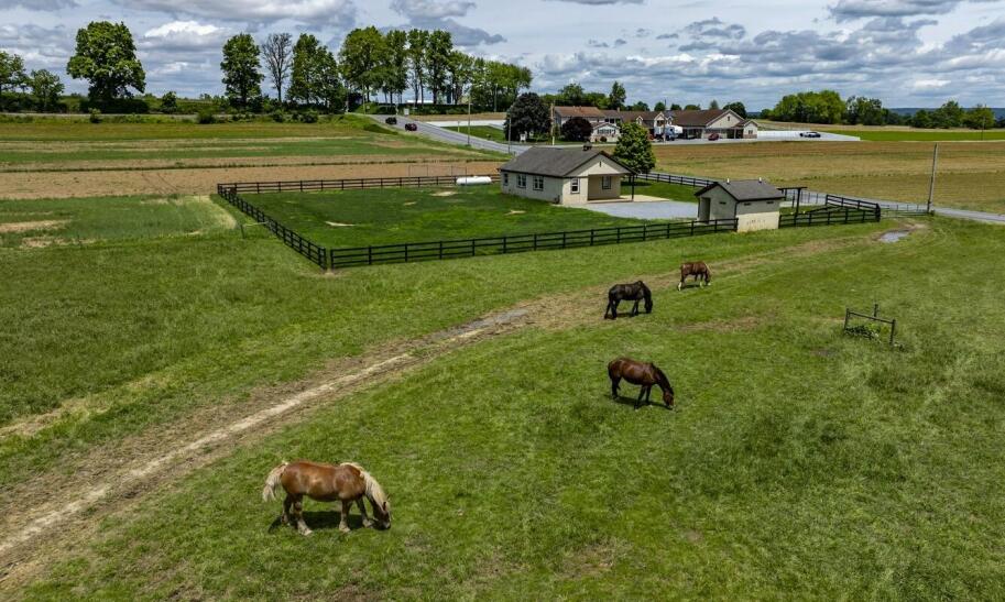 Jakie są najlepsze sposoby na zarabianie na wsi?