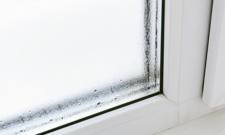 Jak umyć ścianę z pleśni domowymi sposobami