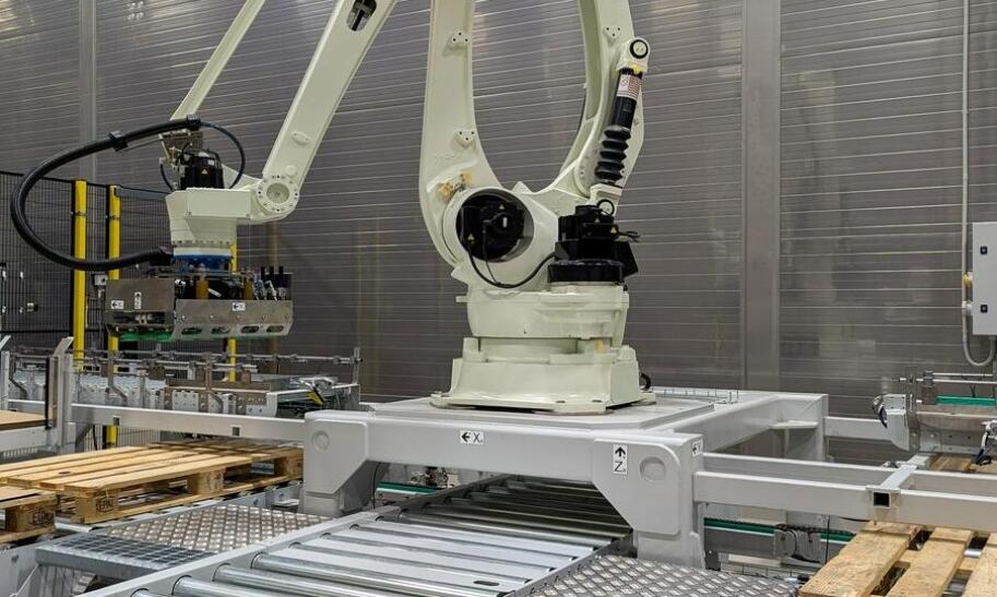 Rodzaje robotów – jakie istnieją?