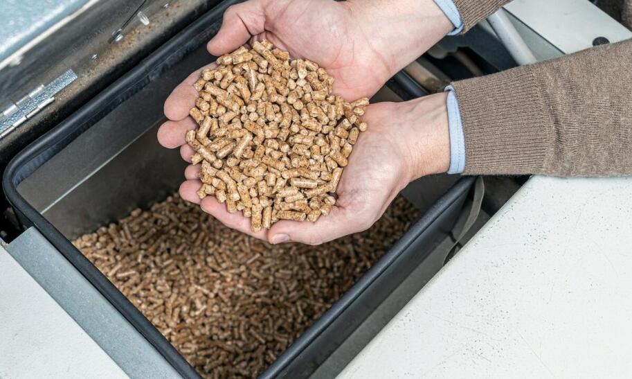 Kiedy pellet może stanieć w Polsce?