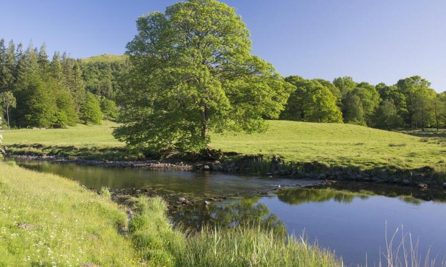 Formy ochrony indywidualnej w Polsce