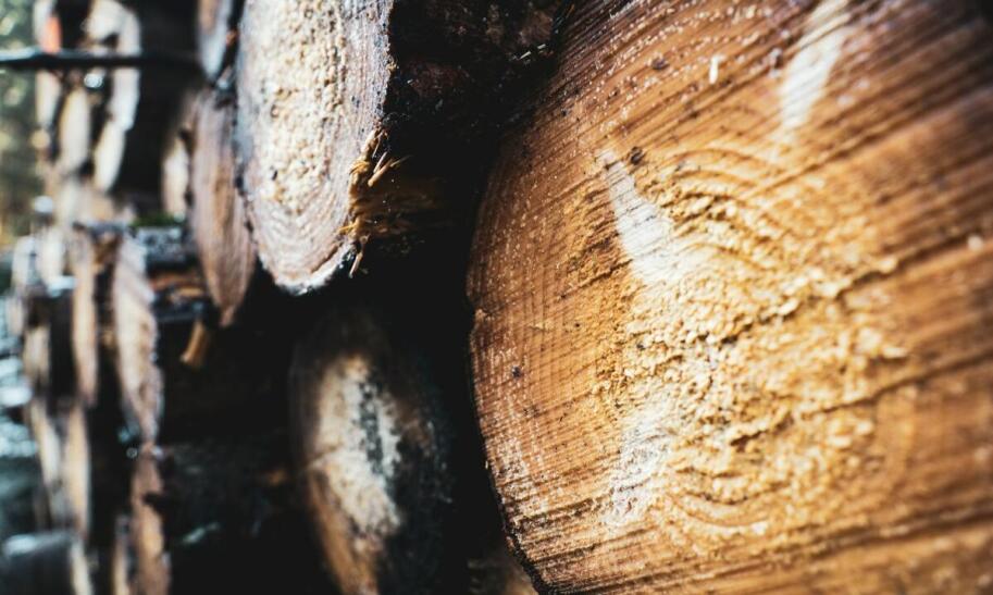 Ile waży drewniana europaleta?