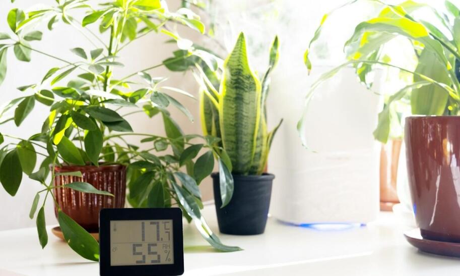 Jaka jest prawidłowa wilgotność w pokoju?