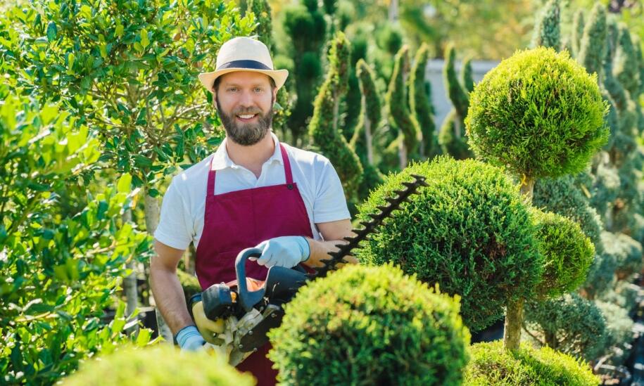 Jak ogrodnik w Toruniu dba o prawidłowe przycinanie drzew i krzewów