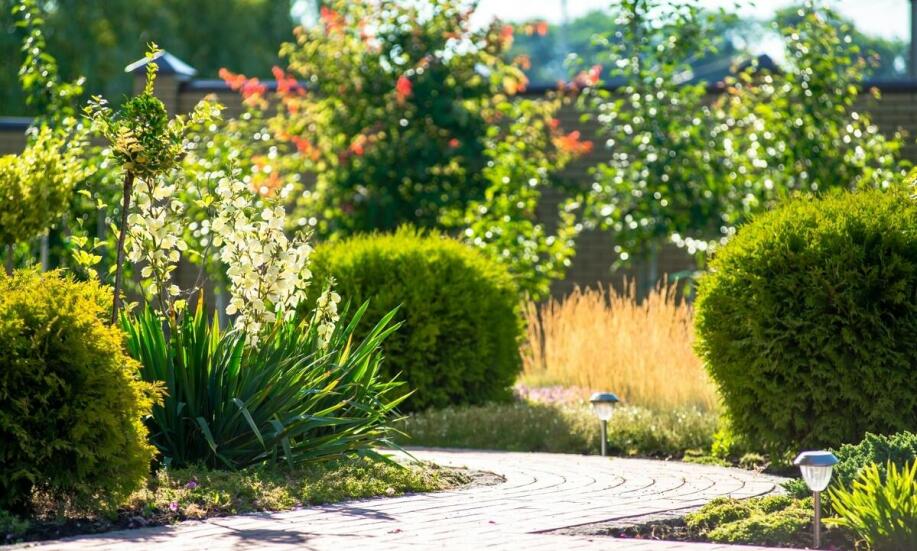 Nowoczesne techniki nawadniania a oszczędność wody w ogrodzie