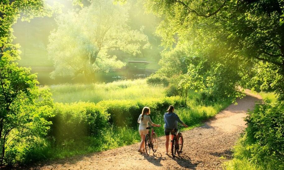 Zrównoważona turystyka – jak w Koziołkowie promuje się ekologię i zdrowy styl życia