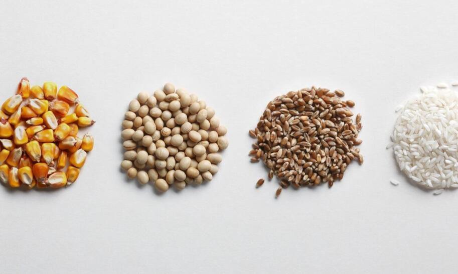 Znaczenie świeżości surowców w produkcji paszowej mieszanki dla drobiu