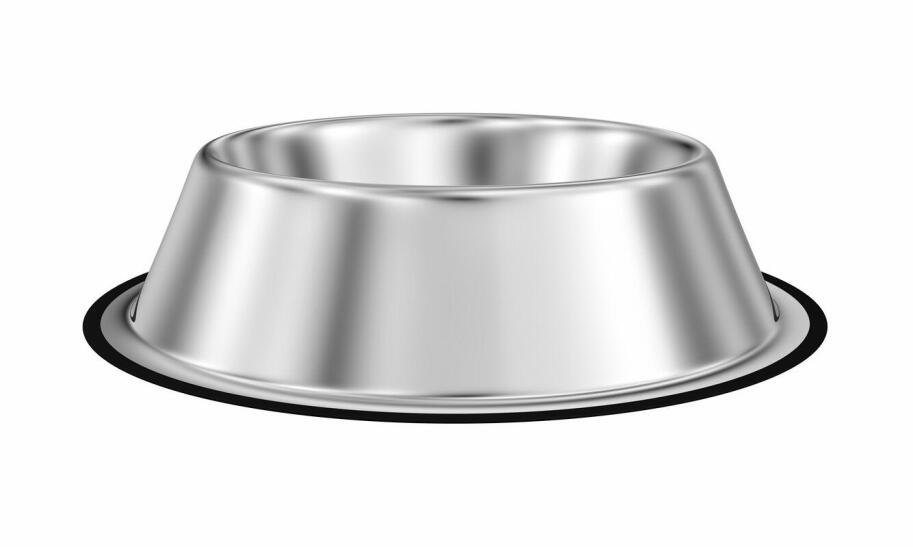 Co jest potrzebne w schronisku dla zwierząt?