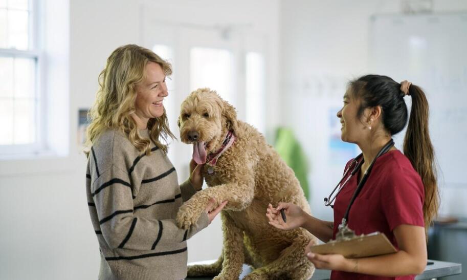 Czy weterynarz jest dzisiaj otwarty?