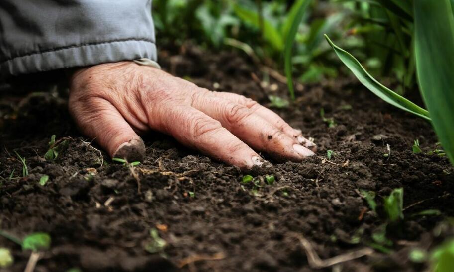 Jak przygotować teren do zakładania ogrodu? Kluczowe aspekty.