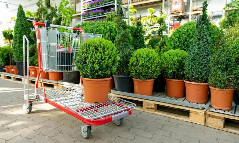 Jakie usługi świadczy sklep ogrodniczy w Warszawie Ursus w zakresie projektowania i utrzymania terenów zieleni?