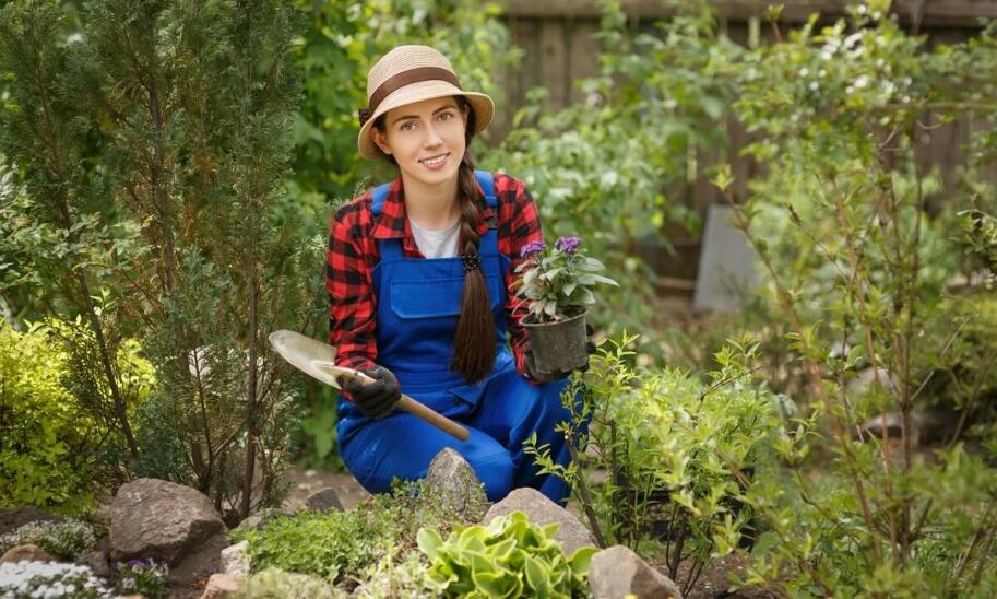 Jak dobrać odpowiednie rośliny do warunków panujących w ogrodzie?