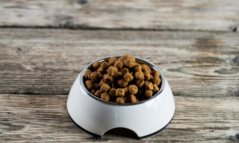 Jakie są najważniejsze składniki diety oferowane przez producenta karmy?