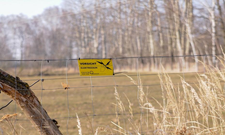 Rodzaje elektryzatorów do ogrodzeń elektrycznych