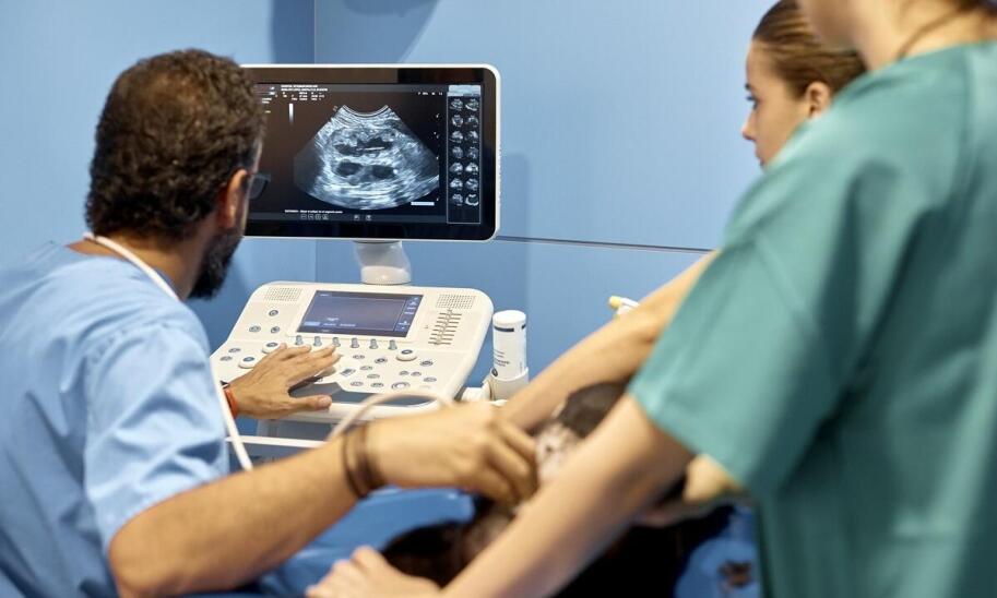 Jak odróżnić zwykłą konsultację ginekologiczną od wizyty, która wymaga USG i dalszej diagnostyki