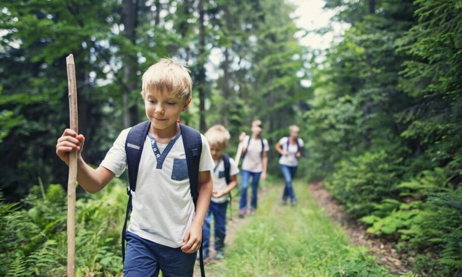Jak zaplanować górską zieloną szkołę z Warszawy, aby pasowała do wieku klasy