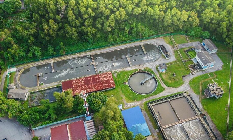 Jak działa hydrobotaniczna oczyszczalnia ścieków w ogrodzie i od czego zależy jej stabilność