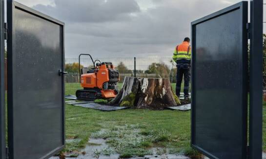 Terminarz i logistyka usuwania pniaków na podmiejskich działkach z trudnym dojazdem dla maszyn
