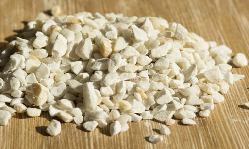 ZEOLIT - jak stosować w ogrodzie, akwarystyce i oczkach wodnych