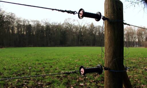 Jak dobre ogrodzenie wpływa na dobrostan bydła?