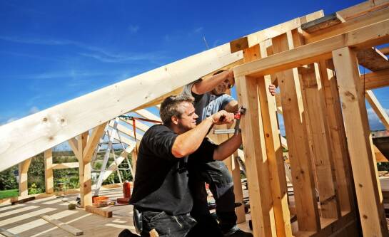 Gatunki drewna do budowy domów