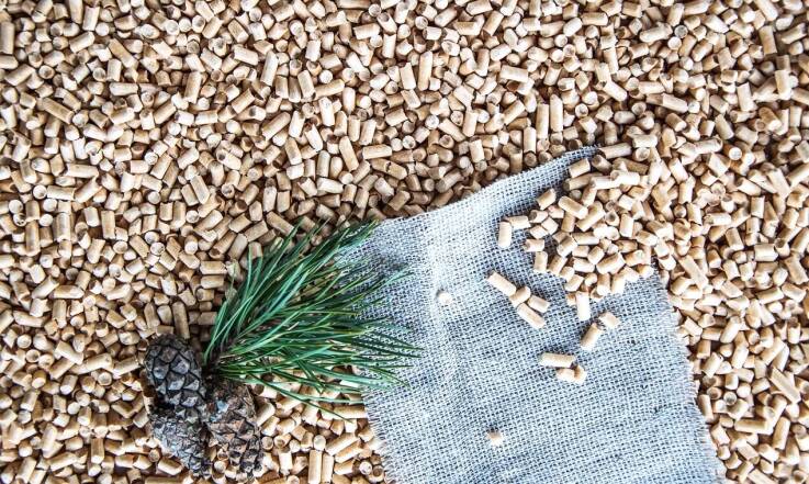 Jakie zastosowanie ma pellet sosnowy? 