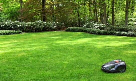 Czym kosić trawę na rozległych powierzchniach zielonych?