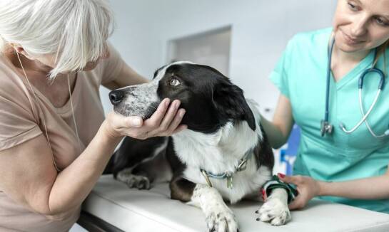 Do czego służy wiertarka ortopedyczna?