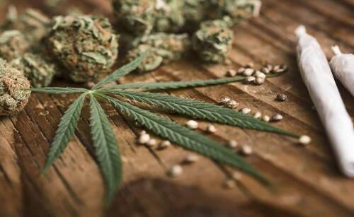 Wprowadzenie do świata jointów CBD