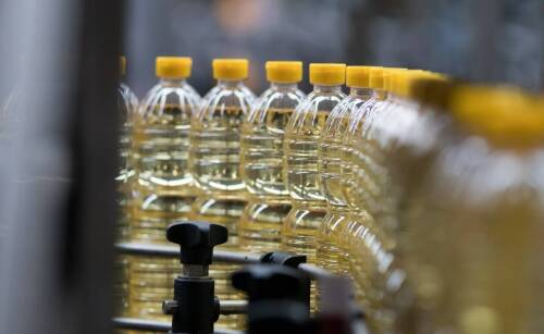 4 ciekawostki na temat produkcji oleju jadalnego