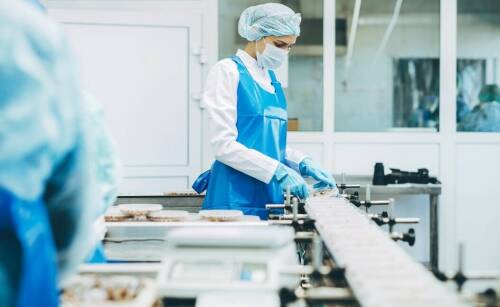 Jakie linie produkcyjne znajdują użytek w cukiernictwie?