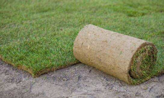 Czy trawa z folii może być alternatywą dla tradycyjnych trawników?