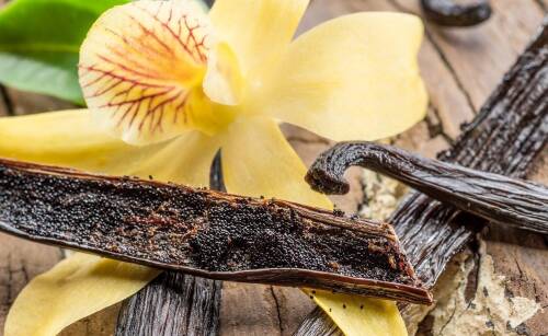 Dlaczego warto korzystać z oferty producenta wanilii?