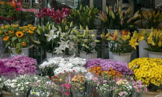 Gdzie kupić kwiaty, gdy kwiaciarnie są już zamknięte?
