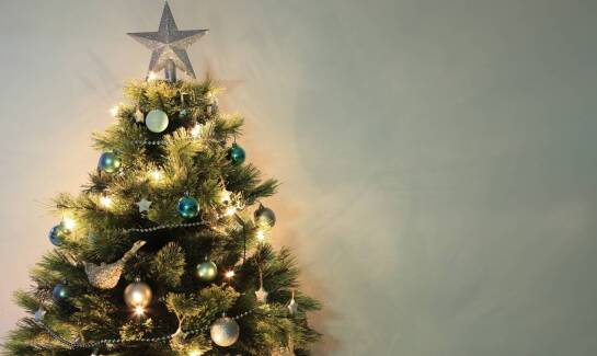 Gdzie sprawdzi się choinka sztuczna 120 cm?