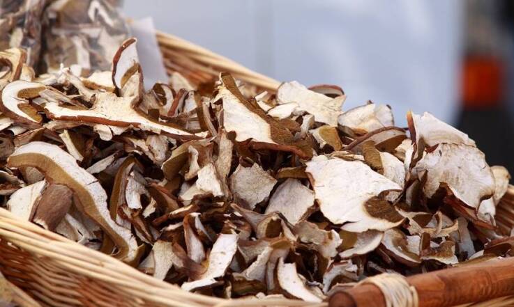 Grzyby jako nieodłączny element polskiej kuchni