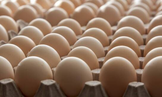 Wysokie standardy higieny i jakości jaj: co oznacza dla klientów?